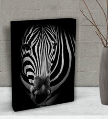 BK Gift Zebra Tasarımlı Dekoratif Mini Kanvas Tablo 15x20cm-1