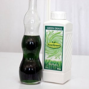 Çim Boyası Green Grass