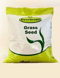 Evergreen Shady Gölge Alan Çim Tohumu
