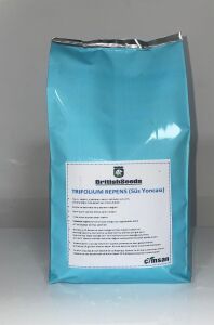 TRİFOLİUM REPENS