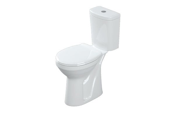 Esvit Lapino Bedensel Engelli Klozet Takımı (Set)