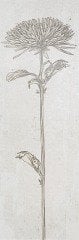 SERRA | 30*90 SHABBY FLOWER DEKOR 2 ''Paket fiyatıdır.''