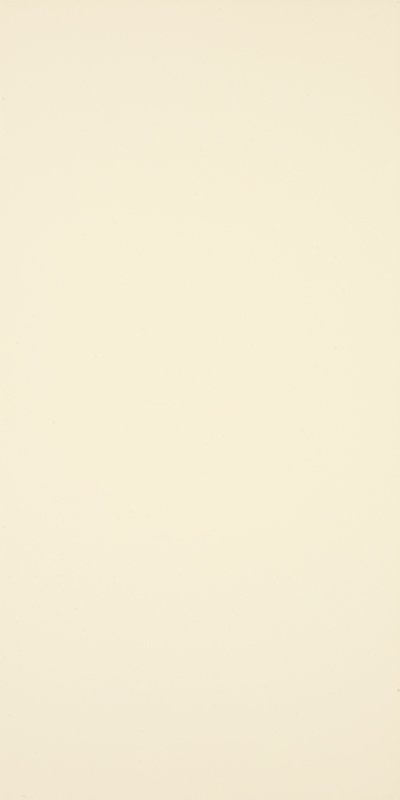 SERRA | 30*60 SPECTRA PARLAK BEJ ''Paket fiyatıdır.''