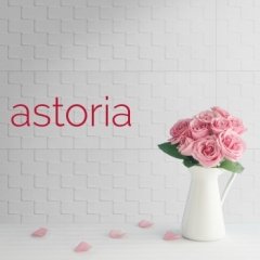 25x75 Astoria Beyaz Parlak  ''Paket fiyatıdır.''