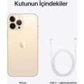 iPhone 13 Pro Max 256 GB Altın (Apple Türkiye Garantili)