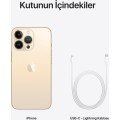 iPhone 13 Pro 256 GB Altın (Apple Türkiye Garantili)