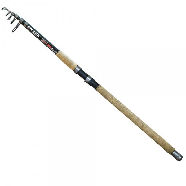 Kamış Shark