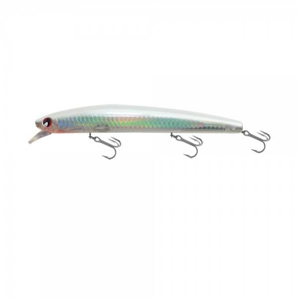 Japanese Minnow HG2536