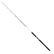 Captain 1411 Victor Boat 2 Parça Tekne Kamışı 30-160gr Atar