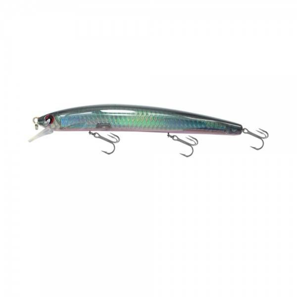 Japanese Minnow HG2546