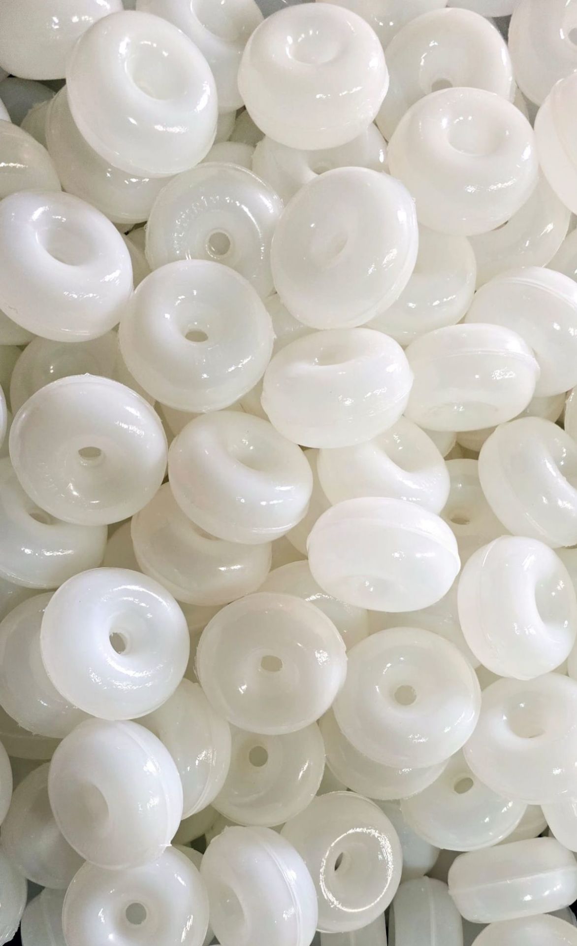 5 NO ORJİNAL BEYAZ AĞ MANTARI 100 LÜ PAKET