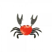 Japanese Crab HG2563