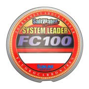 SYSTEM LEADER FC100