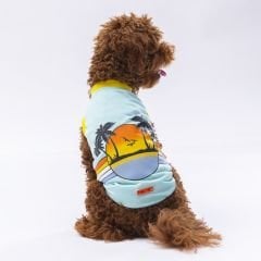 24807 Pawstar Sunrise T-Shirt Mint S-M-L-L-XL-2XL(New Collection)