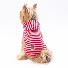 24811 Pawstar Sunny Hooded T-Shirt S-M-L-XL-2XL(New Collection)