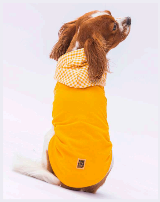 24818 Pawstar Gingham Polo T-Shirt Sarı S-M-L-XL-2XL(New Collection)