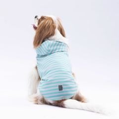 24812 Pawstar Sunny Hooded T-Shirt Aqua S-M-L-XL-2XL(New Collection)