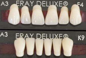 Eraylar Deluxe Üst Kesici Akrilik Dişler