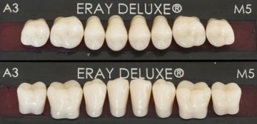 Eraylar Deluxe Üst Kesici Akrilik Dişler