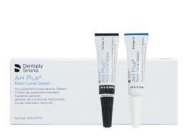 Dentsply AH Plus Kanal Dolgu Patı 2*4 ml