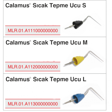 Calamus Sıcak Tepme Uçları