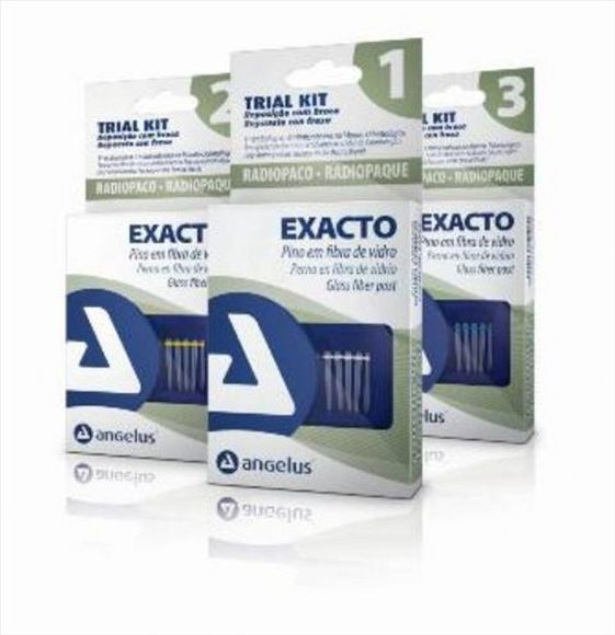 Exacto Translucido Fiber Post Trial Kit