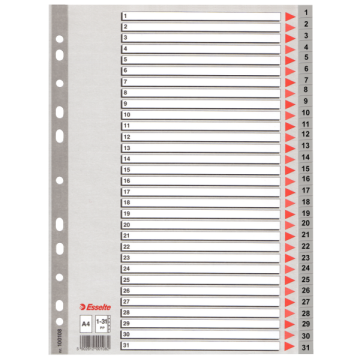 Esselte Seperatör 1-31 Rakamlı Plastik A4 100108