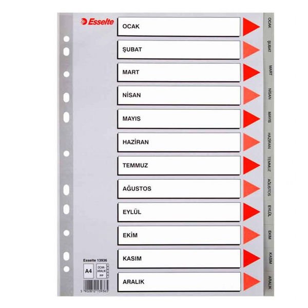 Esselte Seperatör Aylar Plastik A4 13936