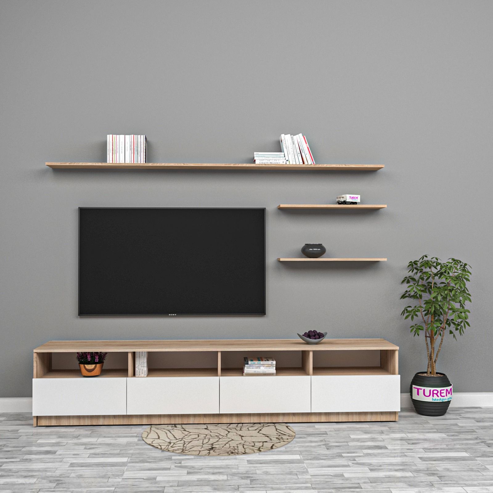 Express Tv Ünitesi