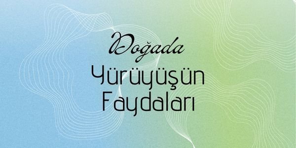 Doğada Yürüyüşün Sağlığa Olan Faydaları: Sadece 1 Saatin Gücü