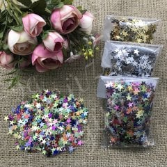 Plastik Pul Yıldız Şekli (0.30 gr.)