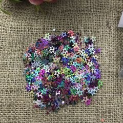 Plastik Pul Delikli Yıldız Şekli (0.30 gr.)