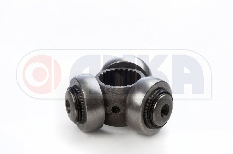 AKS MAFSALI MGN R19 7701638463-