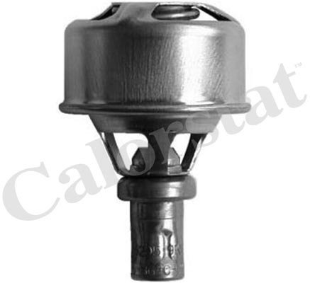 TERMOSTAT R12  75C  (V1324) 7700610899 7701348375
