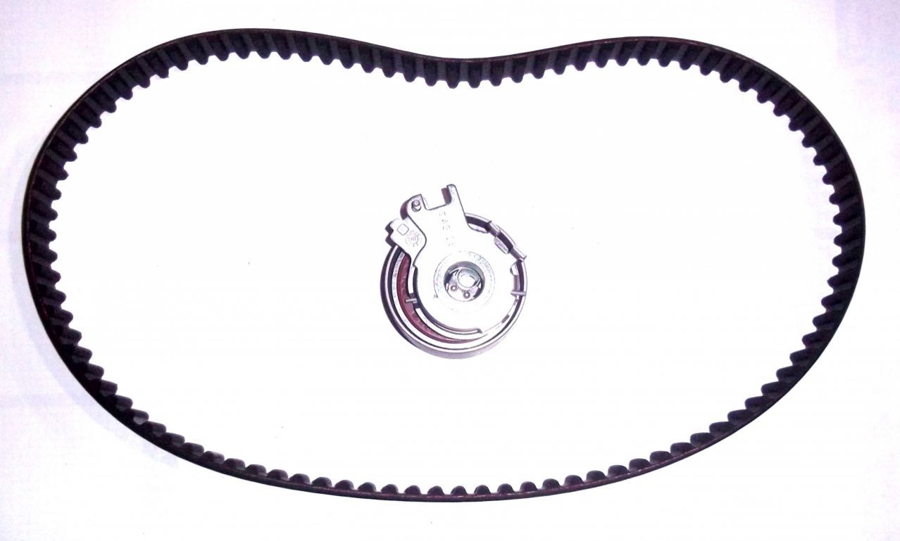 EKSANTRİK GERGİ KİTİ (095x234) CLIO II-III-KNG-TWN 7701473001-7701476745-