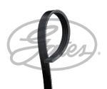 KANALLI KAYIŞ CHEVROLET AVEO 1.2 16V 08=> HONDA IS 7700861467-60551888 7173+