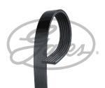 KANALLI KAYIŞ PALIO-ALBEA -DOBLO 1.3 JTD 16V 04=>A 46820063-6340662-9S51862