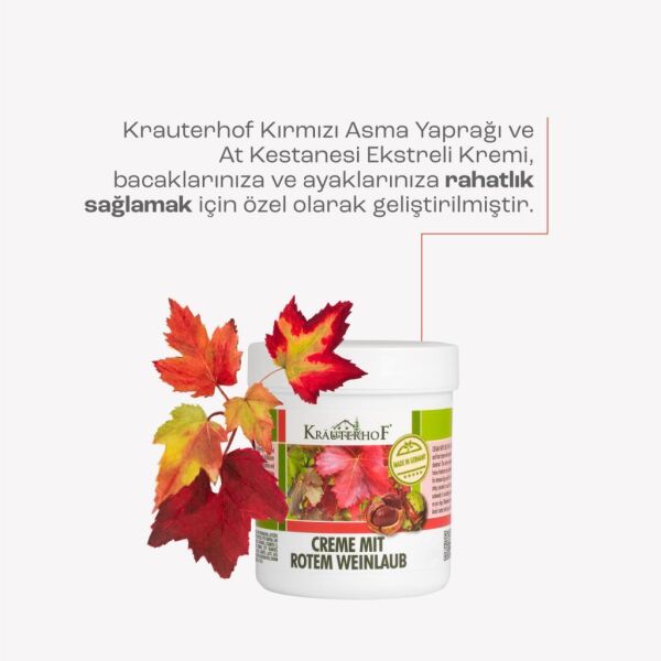 Krauterhof Kırmızı Asma Yaprağı Kremi 100 ml x2 Adet