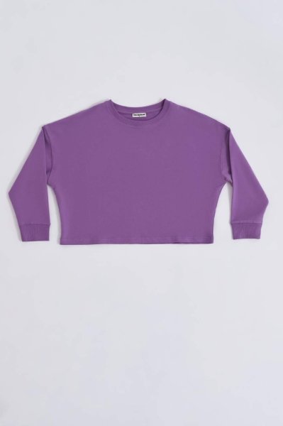 Organik Uzun Kollu Kadın Crop Sweatshirt - Mor