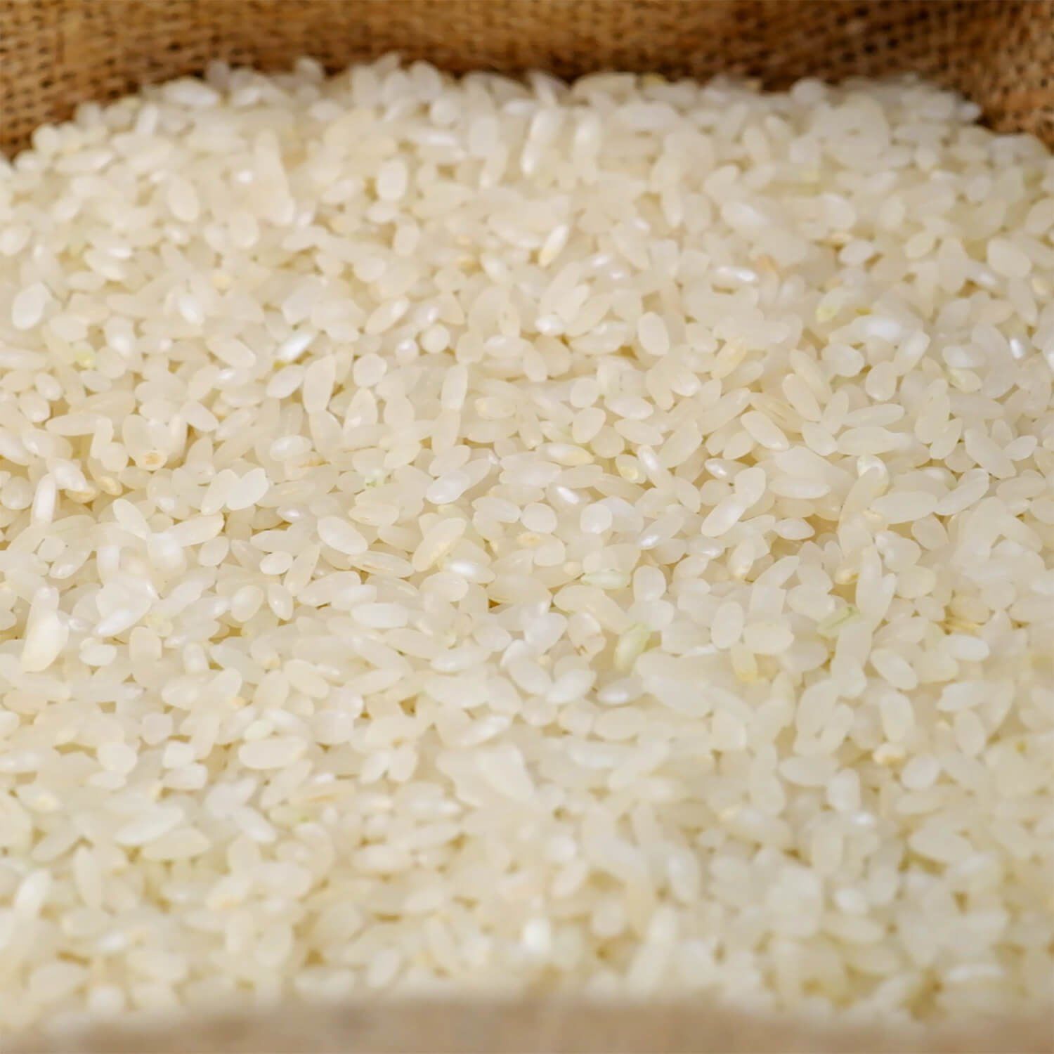 PİRİNÇ 10 KG.