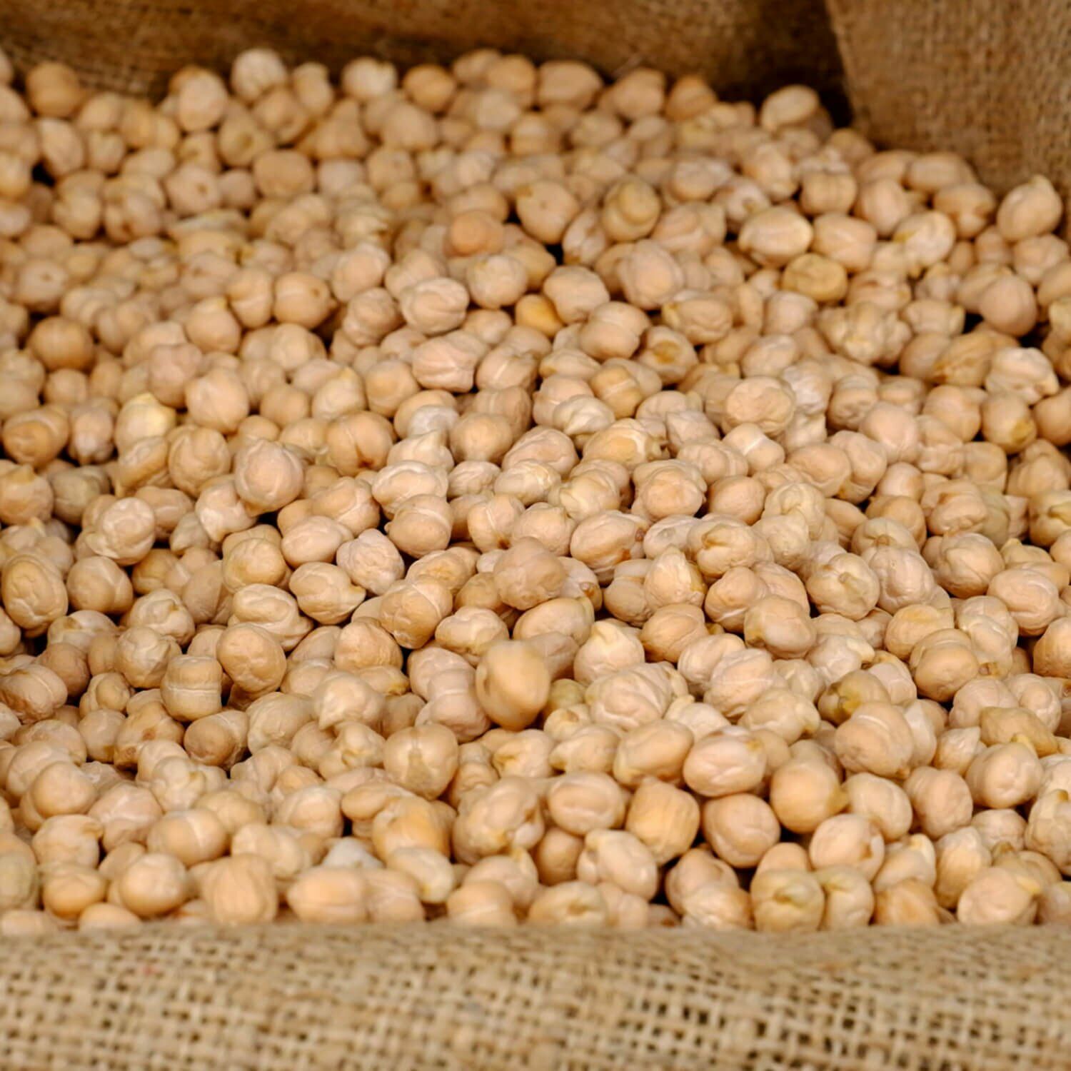 NOHUT 10 KG.