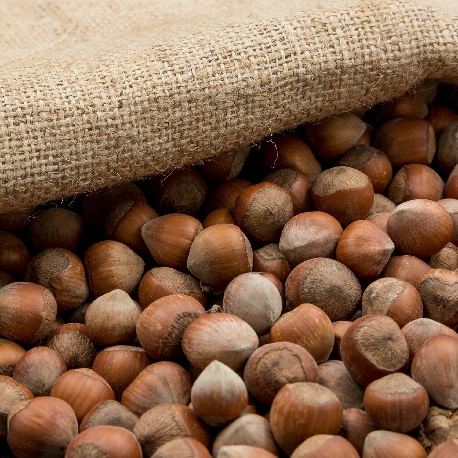 KABUKLU FINDIK 250 G.