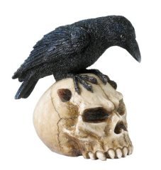 WISE KURUKAFA VE KARGA