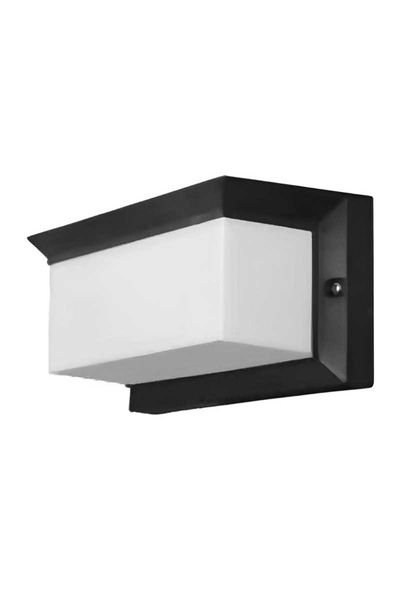 ACK AG55-06221 60W E27 Lunar Pc Bahçe Duvar Apliği