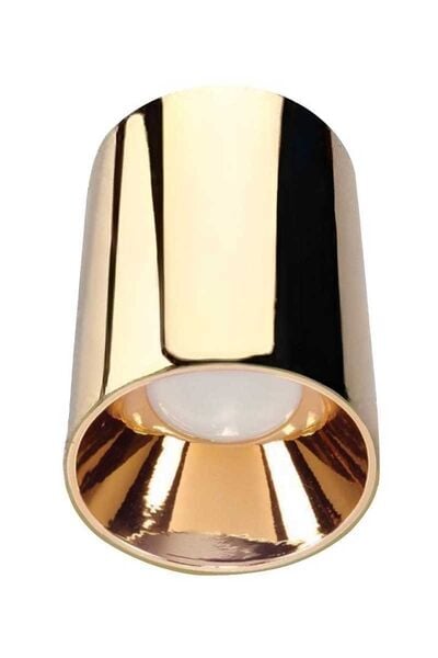 ACK AH12-08576 Parlak Rose Gold Kasa Sıva Üstü Dekoratif Tavan Armatürü