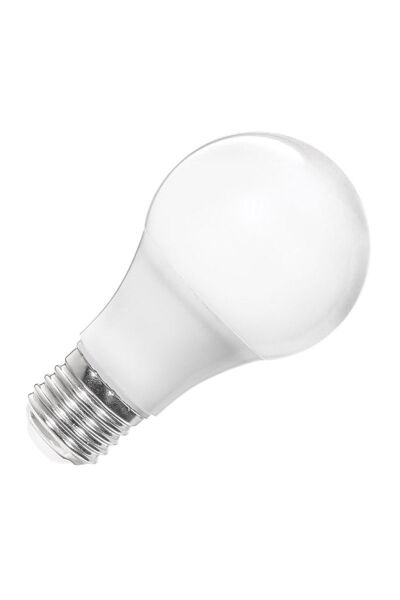 ACK AA13-01220 12W E27 3000K Günışığı A60 Led Ampul