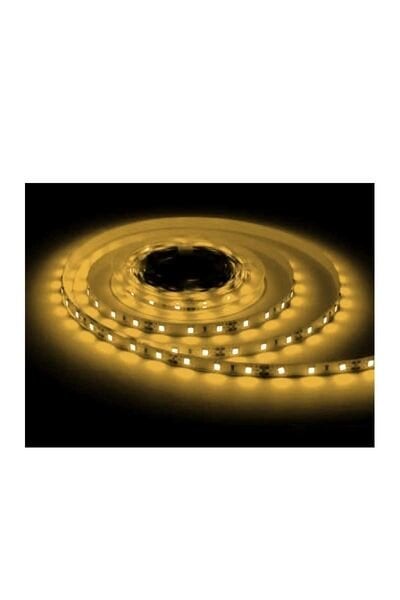 ACK AS01-00800 7W 12V 3000K Günışığı 4040 İç Mekan Şerit Led 5 Metre