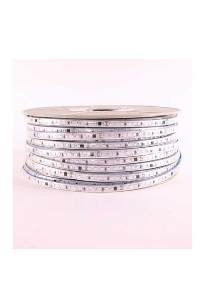 ACK AS01-01506 220V Mavi Dış Mekan Şerit Led 5 Metre