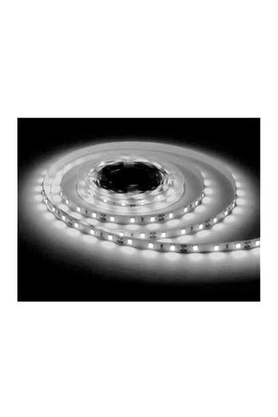 ACK AS01-02503 10W 12V DC 6500K Beyaz 120 Led İç Mekan Şerit Led 5 Metre