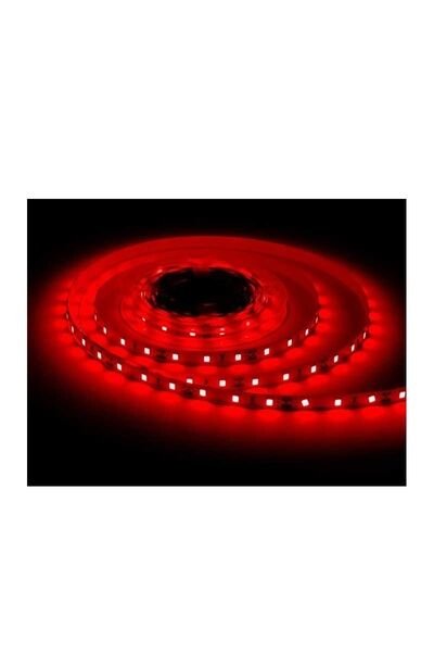 ACK AS01-02504 10W 12V DC Kırmızı 120 Led İç Mekan Şerit Led 5 Metre